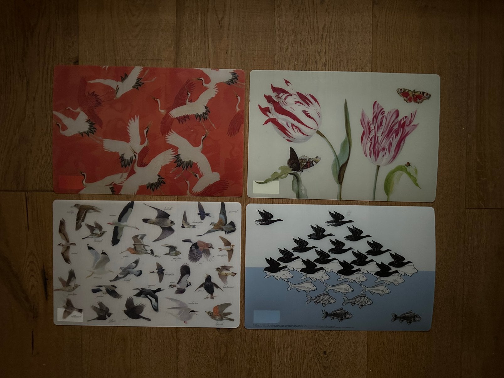 4 placemats ‘natuur’, Ophalen of Verzenden, Zo goed als nieuw, Rechthoek, Binnen