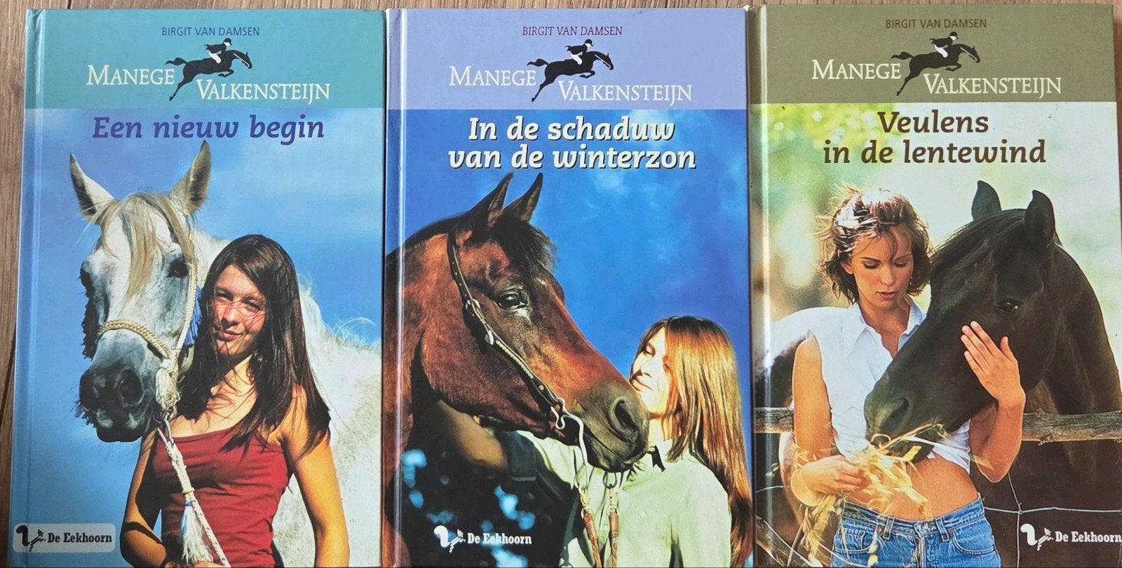 Manege Valkensteijn boekenreeks (3 delen), Birgit van Damsen, Ophalen of Verzenden, Zo goed als nieuw, Fictie