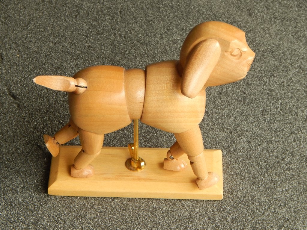 Ledenpop hond, Ophalen of Verzenden, Zo goed als nieuw, Overige typen