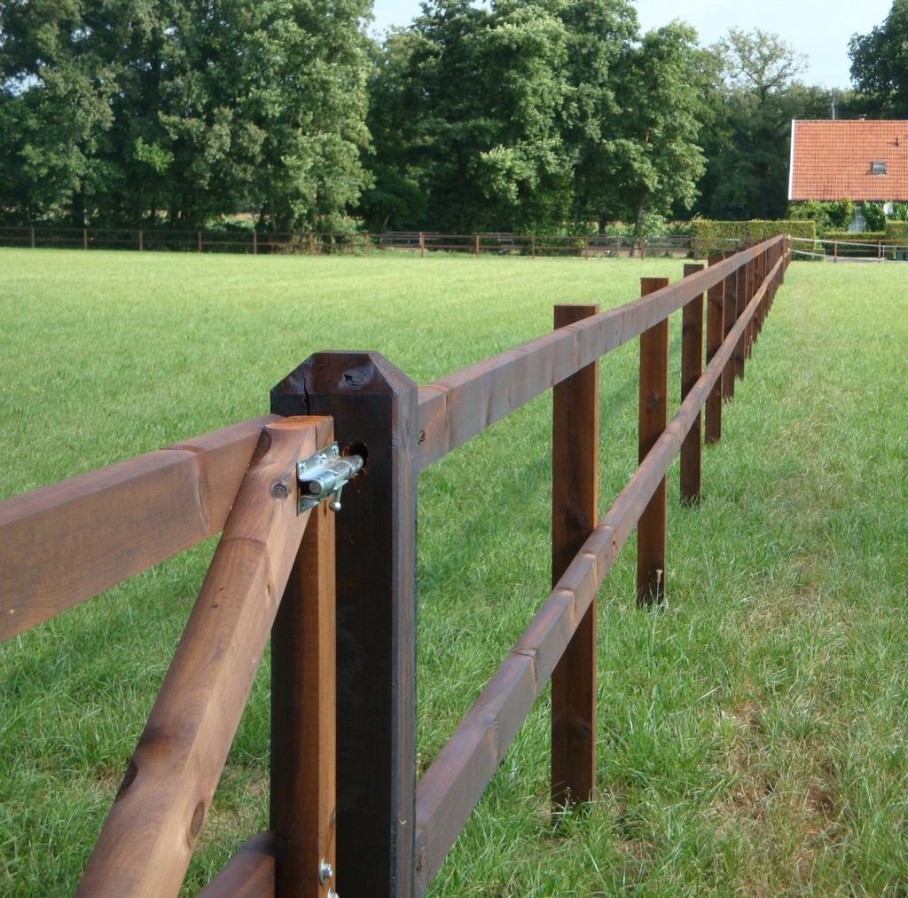 Gezocht: opfok weiland, Opfok