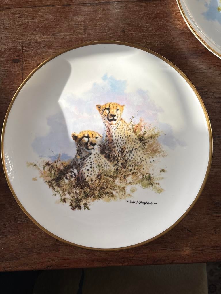 Wedgwood David Shepherd Wildlife Collectie: Cheeta, Ophalen of Verzenden