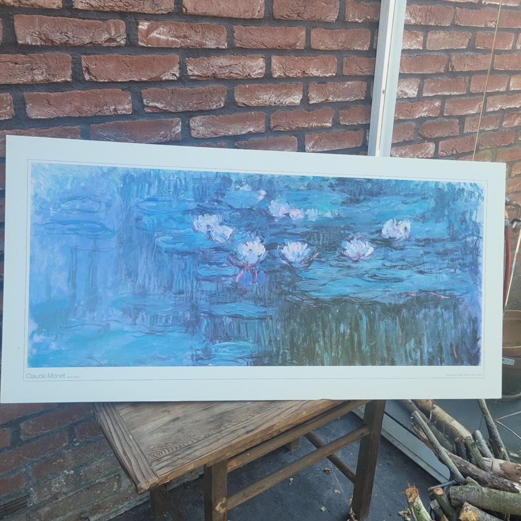 Monet/waterlelies, Antiek en Kunst, Kunst | Schilderijen | Abstract, Ophalen