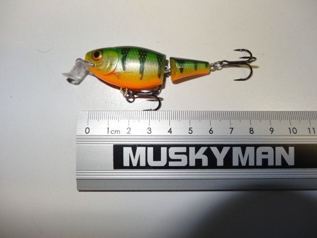 Kunstaas: Rapala Shallow Jointed Shad Rap (JSSR-5) pluggen, Verzenden, Gebruikt, Overige typen
