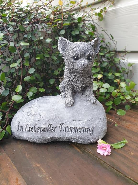Chihuahua , hondje op steen , grafsteen, Ophalen of Verzenden, Nieuw, Dier