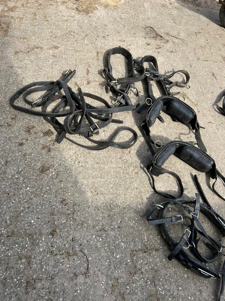 Paardentuig te koop, 2-span, Ophalen, Gebruikt, Overige soorten
