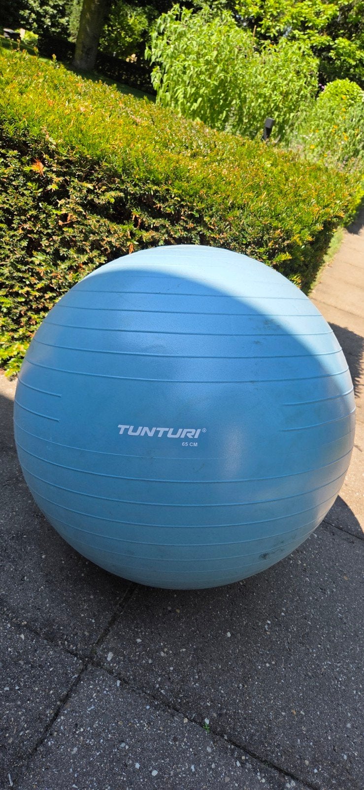Tunturi Fitnessbal 65 cm, Sport en Fitness, Fitnessmaterialen, Zo goed als nieuw, Fitnessbal, Buik, Rug, Ophalen