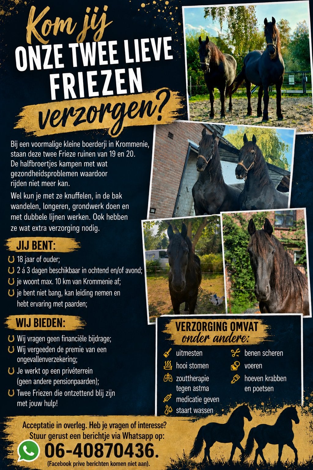 Verzorger 2 Frieze Ruinen gezocht, Verzorging of Verzorgpony's