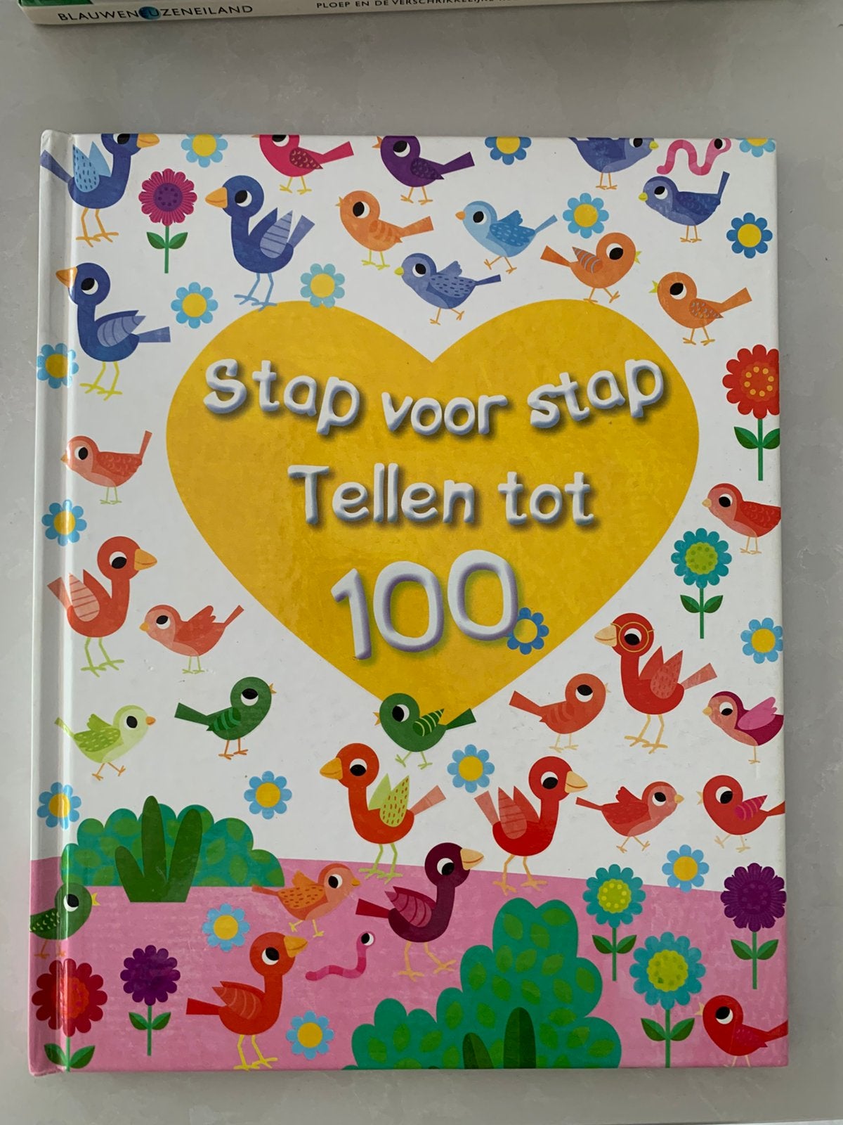 Boek - Stap voor stap tellen tot 100, Ophalen, Zo goed als nieuw