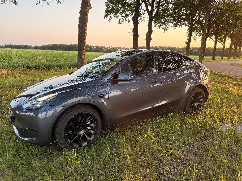 Tesla Model Y Long Range AWD 75 kWh Silver grey Autopilot, Auto's, Tesla, Particulier, Model Y, 360° camera, 4x4, ABS, Achteruitrijcamera