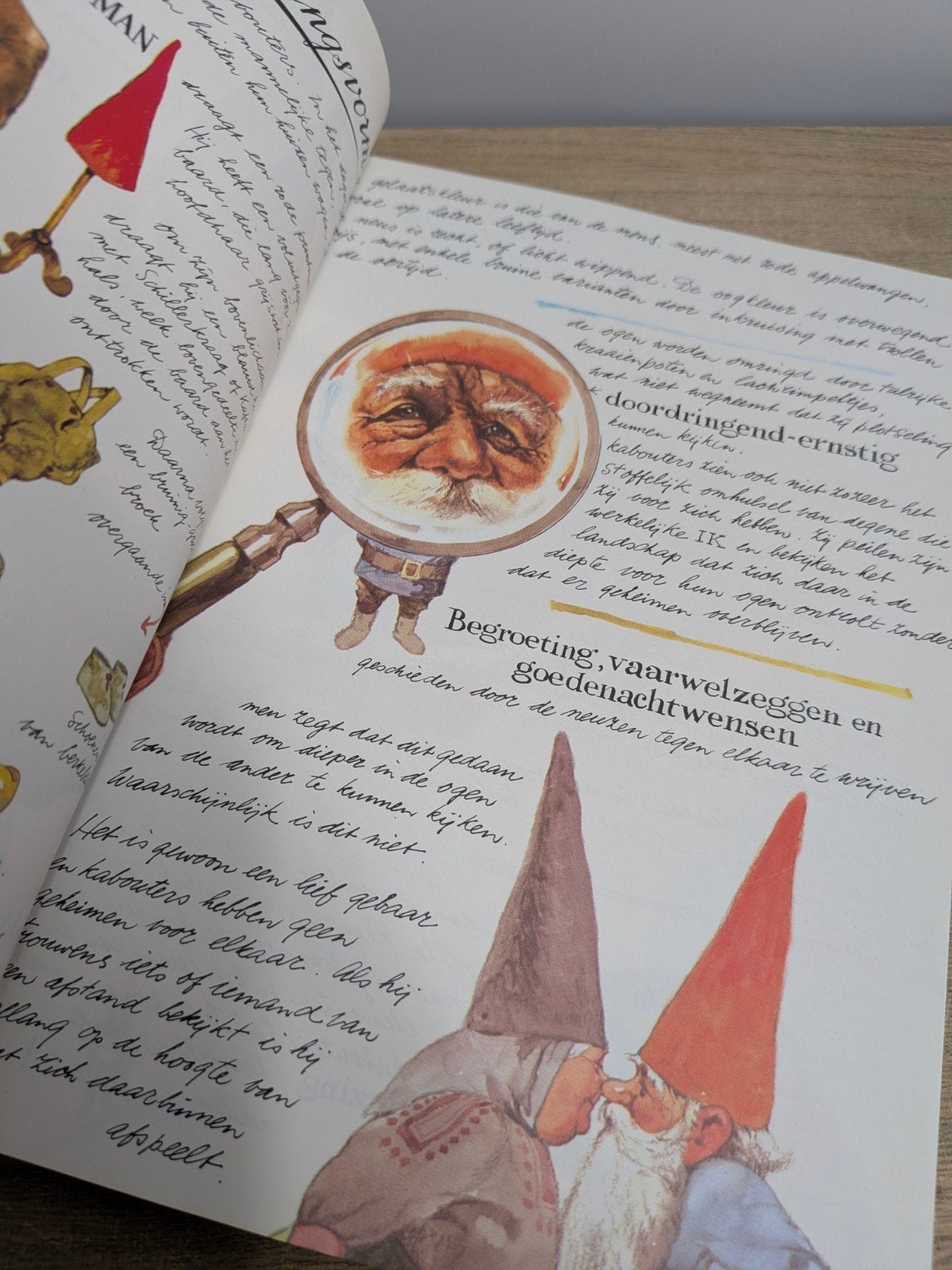 Leven en werken van de Kabouter - Rien Poortvliet, Boeken, Ophalen of Verzenden, Zo goed als nieuw, Rien Poortvliet & Wil Huygen