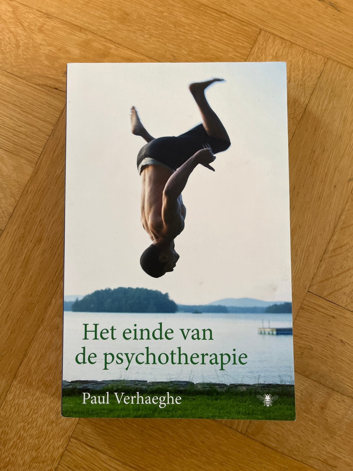 Het einde van de psychotherapie - Paul Verhaeghe, Boeken, Ophalen of Verzenden, Zo goed als nieuw, Klinische psychologie
