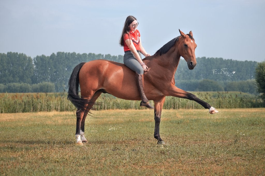 Bijrijder/Verzorger gezocht voor 23-jarige Doscinto, Ophalen, Gebruikt