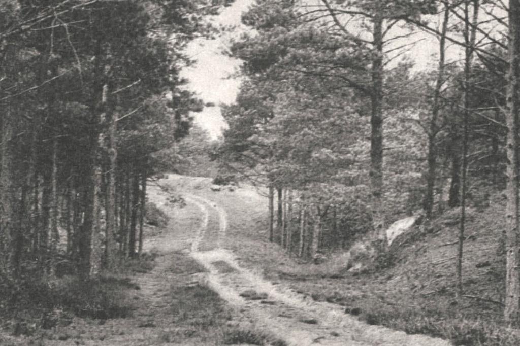 966465 Appelscha 1923 In de Duinen Gelopen met postzegel, Ophalen of Verzenden, 1920 tot 1940, Gelopen, Friesland