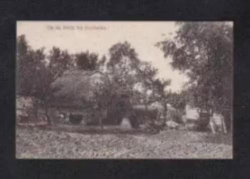 Zuidlaren Op de Heide bij Zuidlaren Keuterij Plaggenhut., Ophalen of Verzenden, Voor 1920, Ongelopen, Drenthe