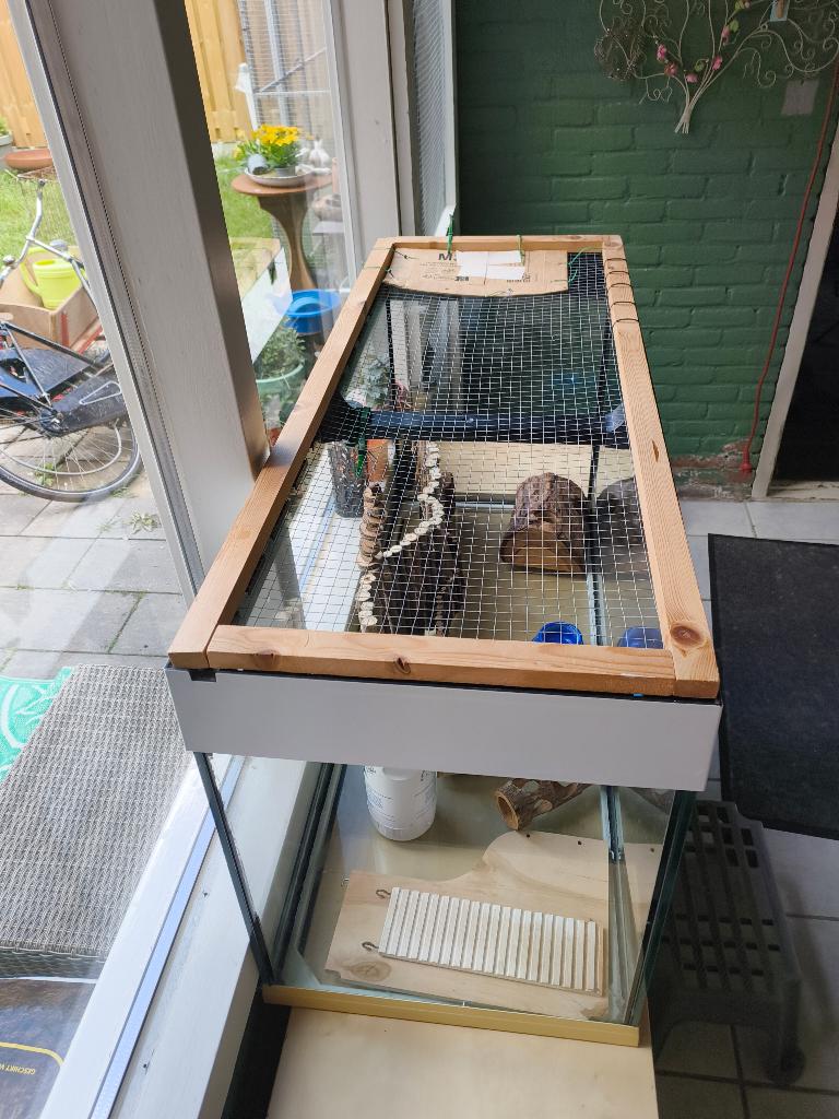 Hamster terrarium, Gebruikt, Overige typen, Muis, 75 tot 110 cm