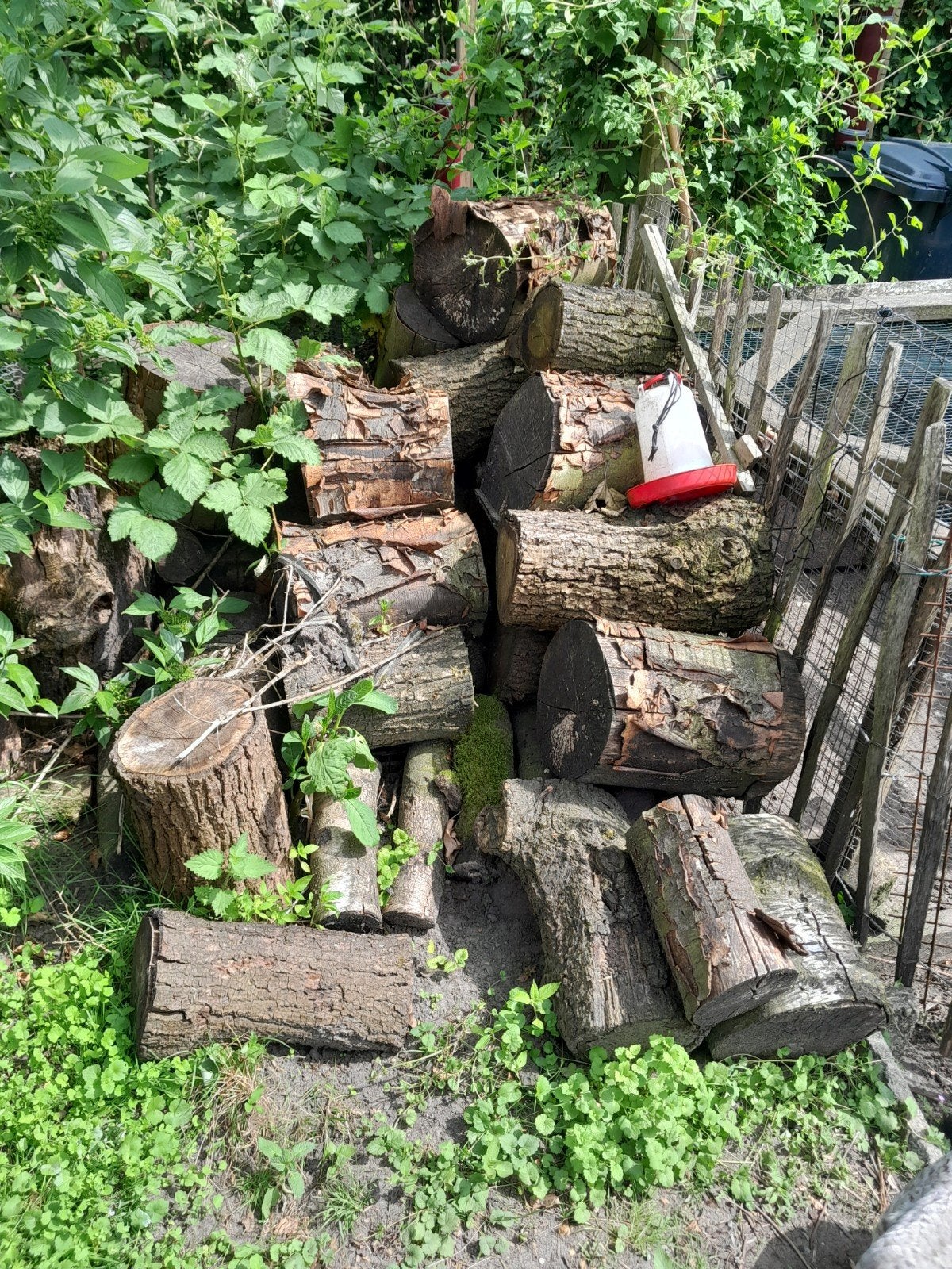 Diverse houtblokken, deels met zand en mos, Tuin en Terras, Haardhout, Blokken, Overige houtsoorten, 3 tot 6 m³, Ophalen