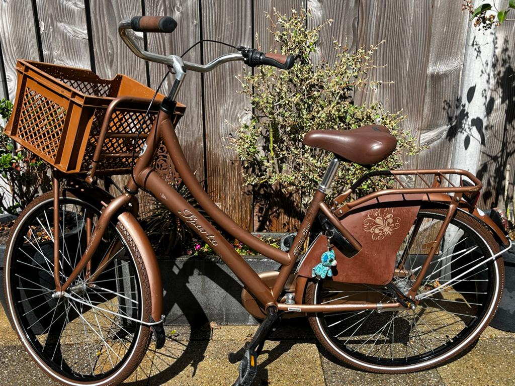 Sparta country tour 26 inch, Ophalen, Terugtraprem, Sparta, Gebruikt