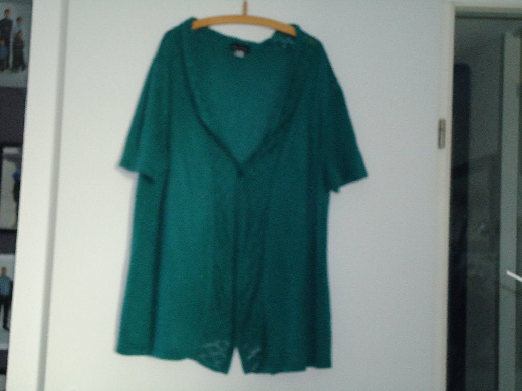 vest tuniek met ajourranden en kraagje mt 50, Kleding | Dames, Ophalen of Verzenden, Zo goed als nieuw, Groen, Trui of Vest