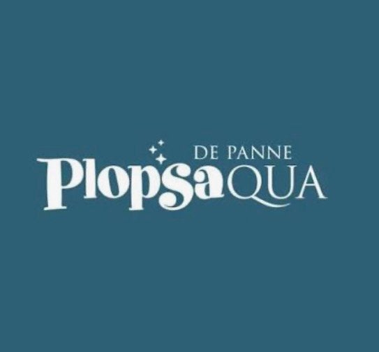 PlopsAqua: 3 kaarten volwassen 1 kaartje 85-99cm, Twee personen