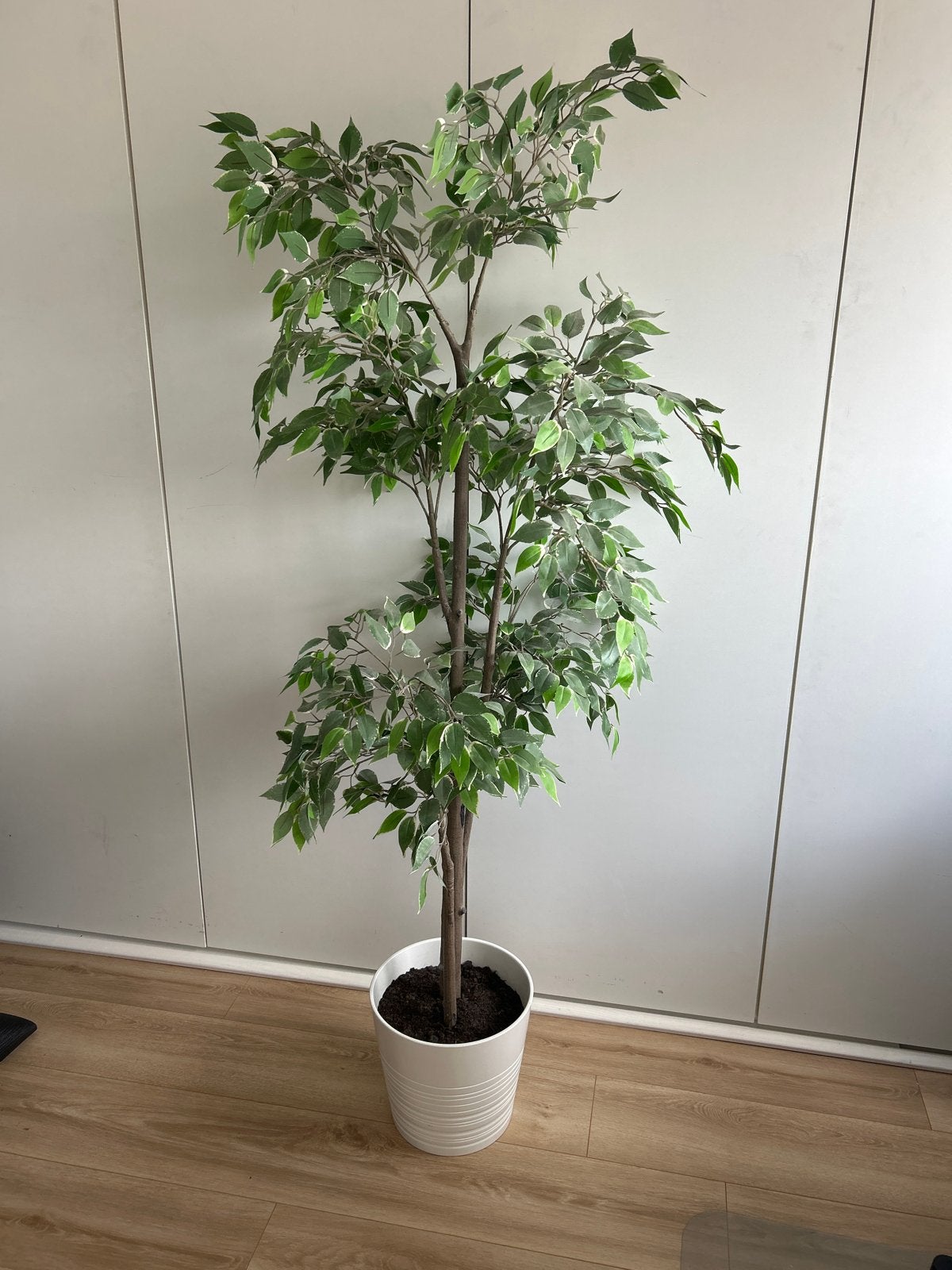 IKEA FEJKA Kunstplant 170cm met pot, Huis en Inrichting, Ophalen, Binnen, Groen, Kunstplant