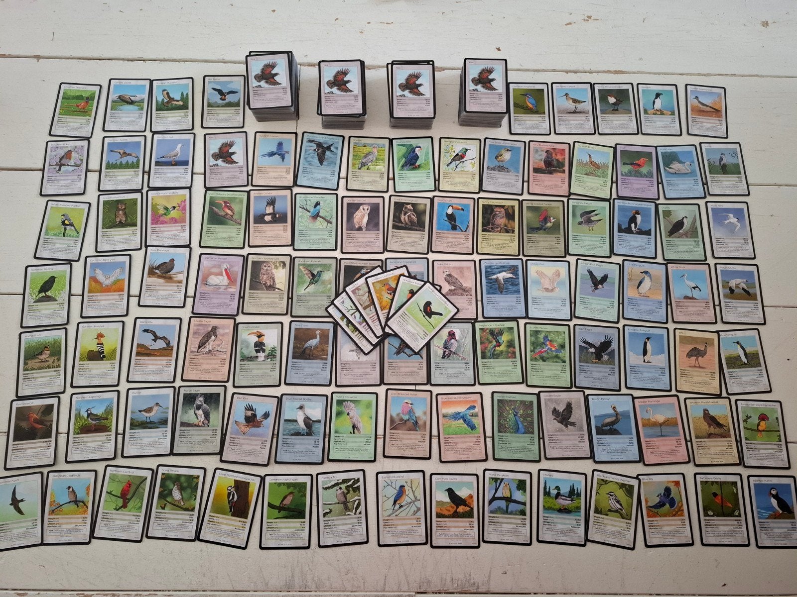 Life TCG Vogelkaarten 1st Edition Volledige Set, Ophalen of Verzenden, Zo goed als nieuw, Meerdere kaarten