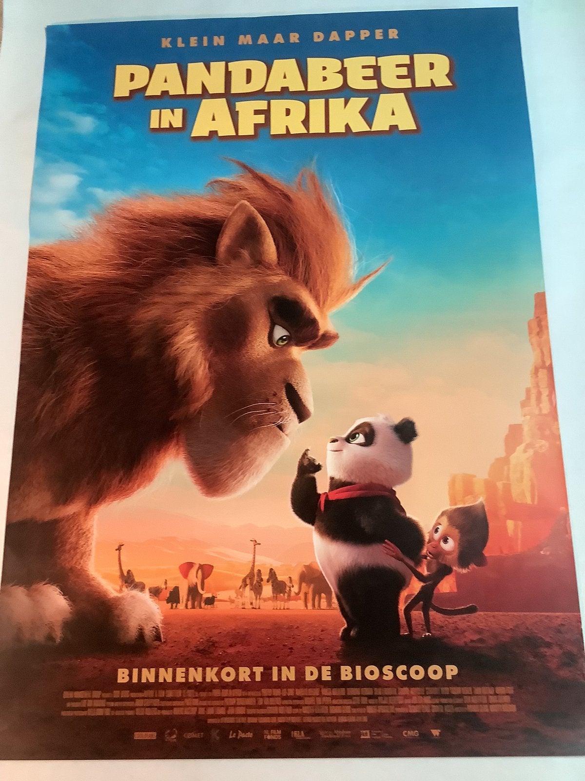 PANDABEER IN AFRIKA   Filmposter  70-100 cm, Ophalen of Verzenden, Zo goed als nieuw