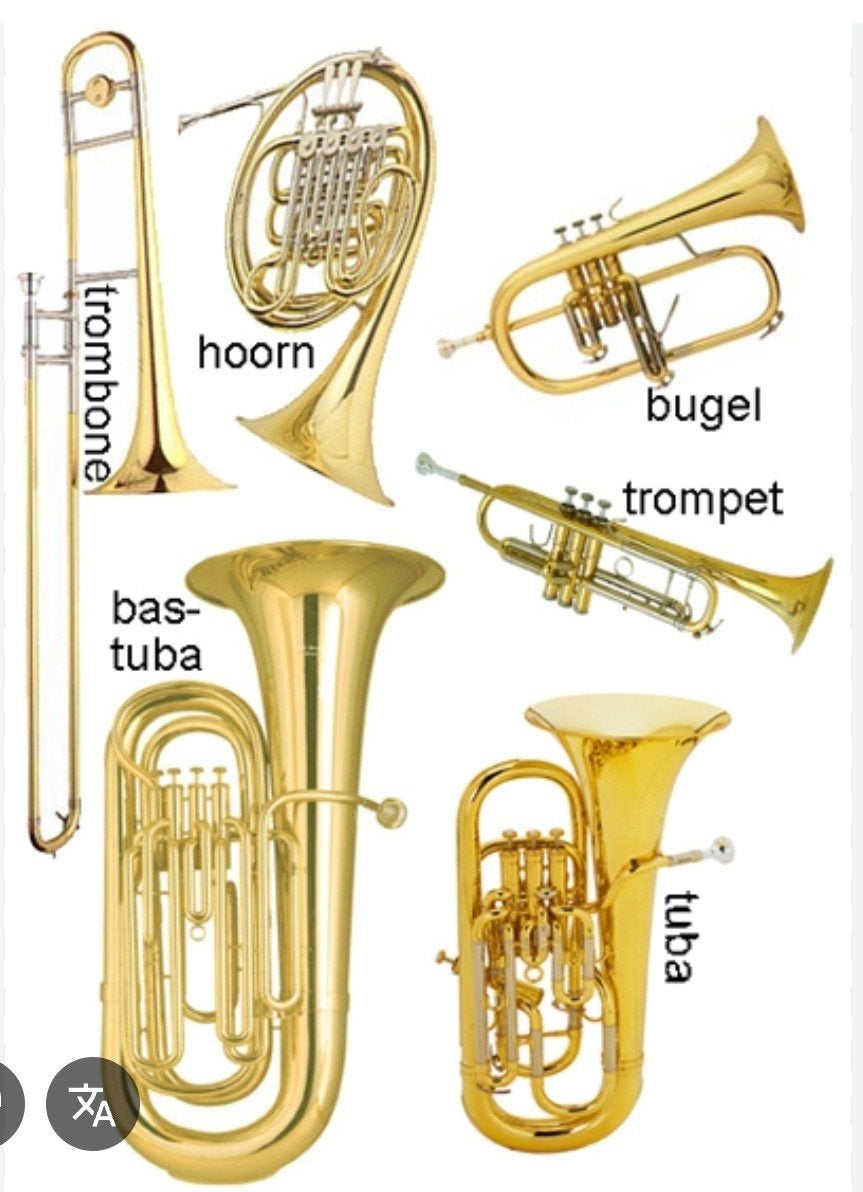 GEZOCHT: kapotte / oude blaasinstrumenten