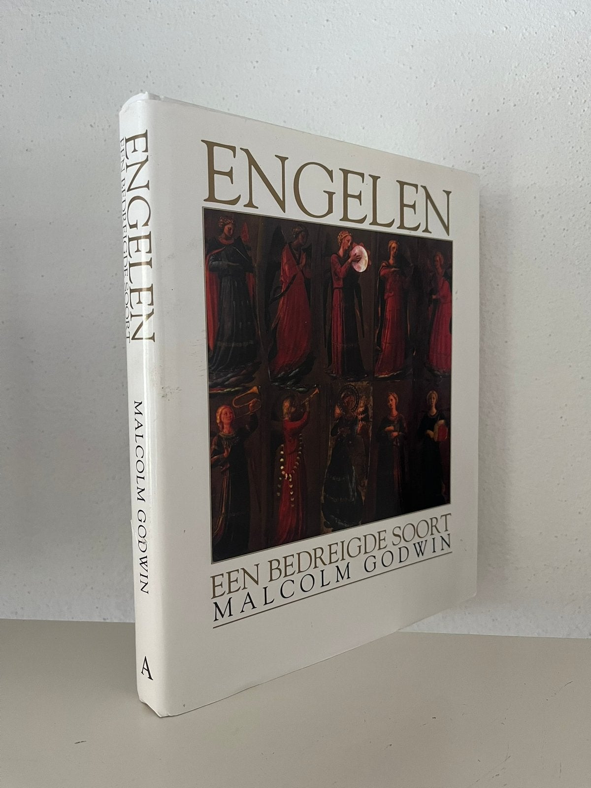 Engelen een bedreigde soort - Malcolm Godwin, Ophalen of Verzenden, Zo goed als nieuw
