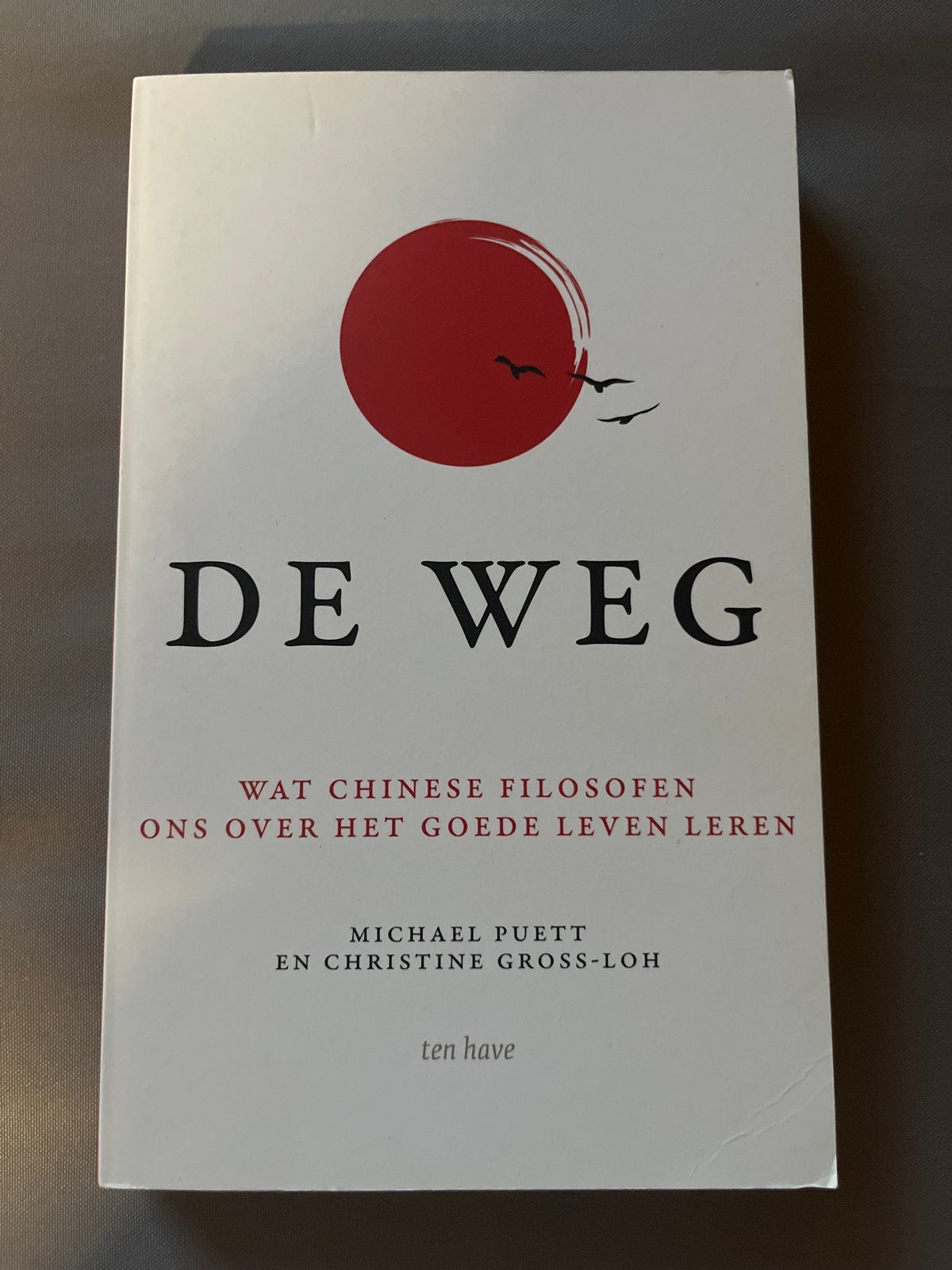 De Weg: Wat Chinese filosofen ons over het goede leven leren, Ophalen of Verzenden, Zo goed als nieuw, Praktische filosofie