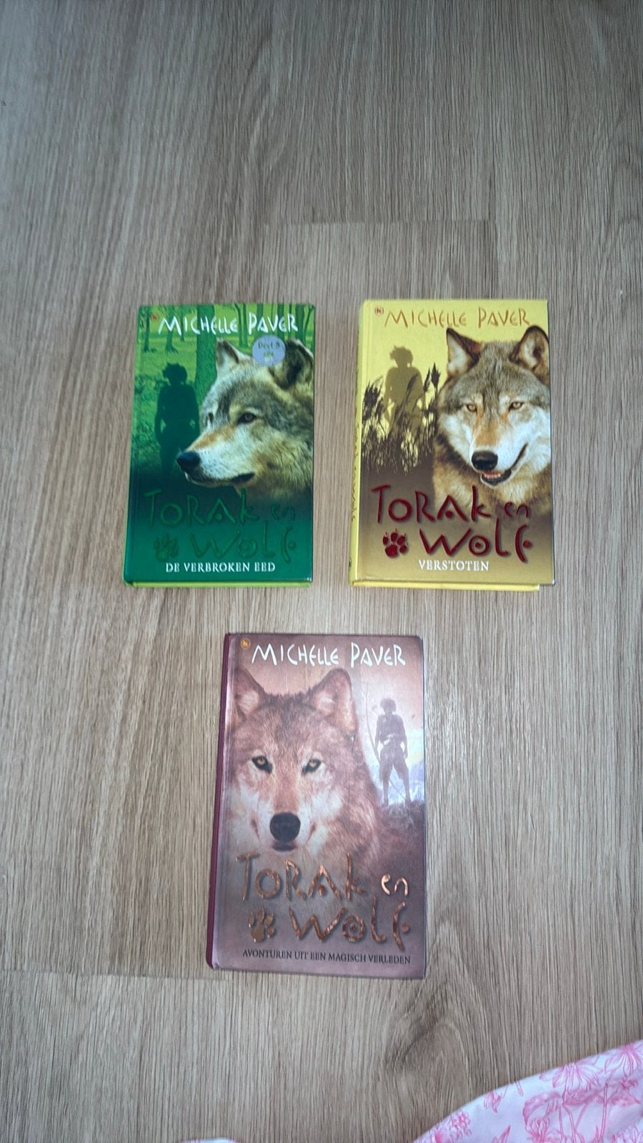 Torak en Wolf boekenreeks - Michelle Paver (3 delen), Ophalen of Verzenden, Gelezen, Fictie