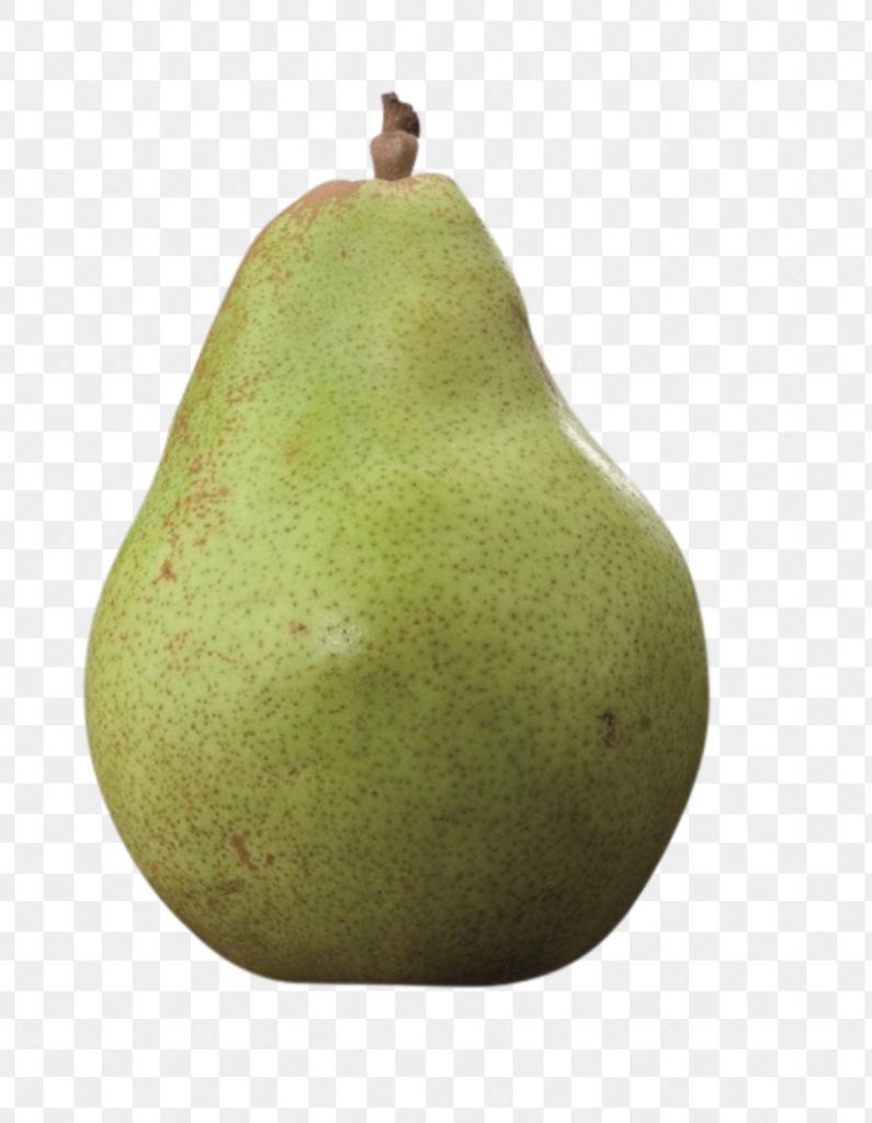 Fruit leibomen voor fruit uit eigen tuin, Ophalen of Verzenden, Lente, Volle zon, Overige soorten