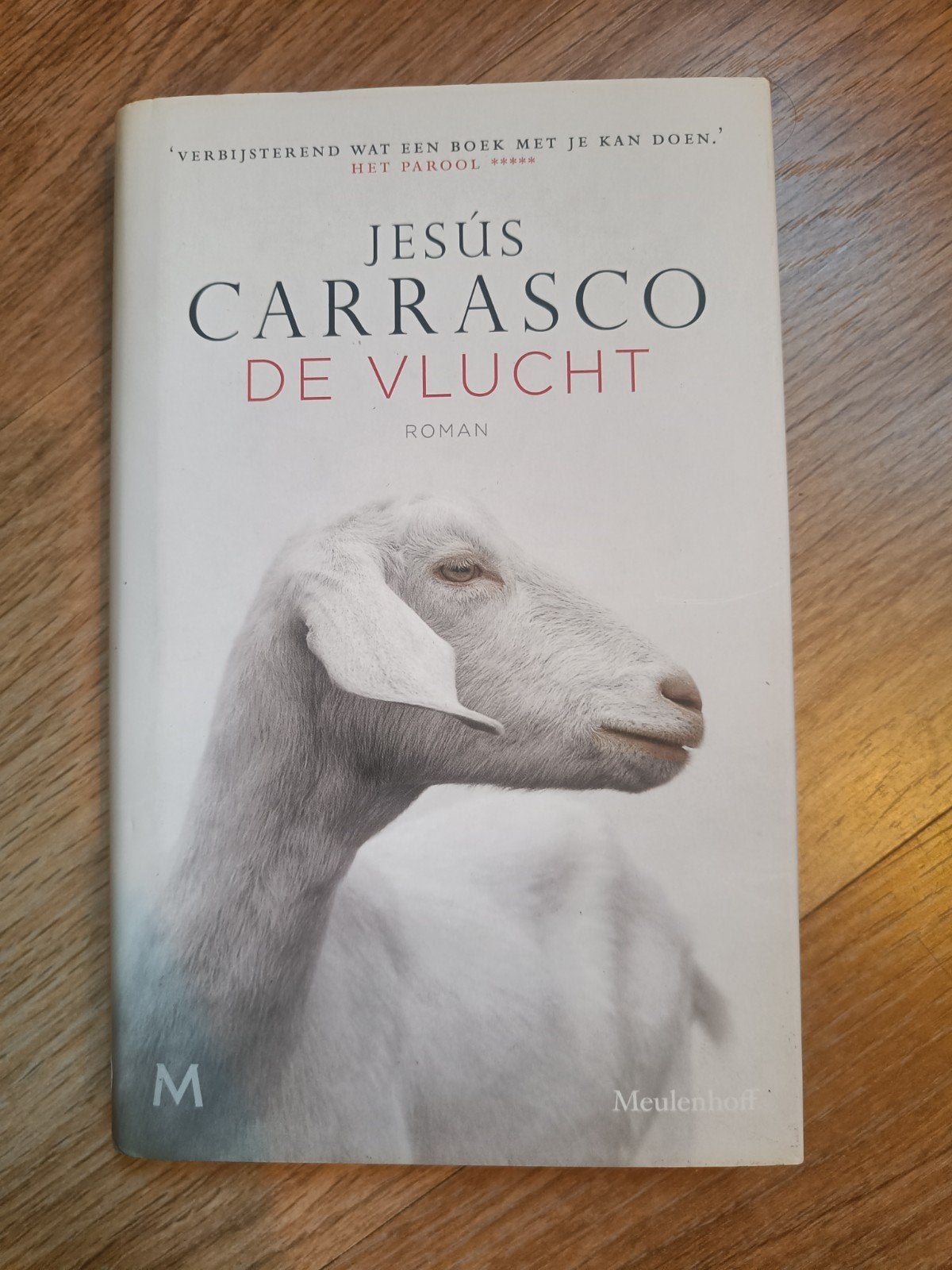 Jesús Carrasco - De vlucht, Ophalen of Verzenden, Zo goed als nieuw, Jesús Carrasco