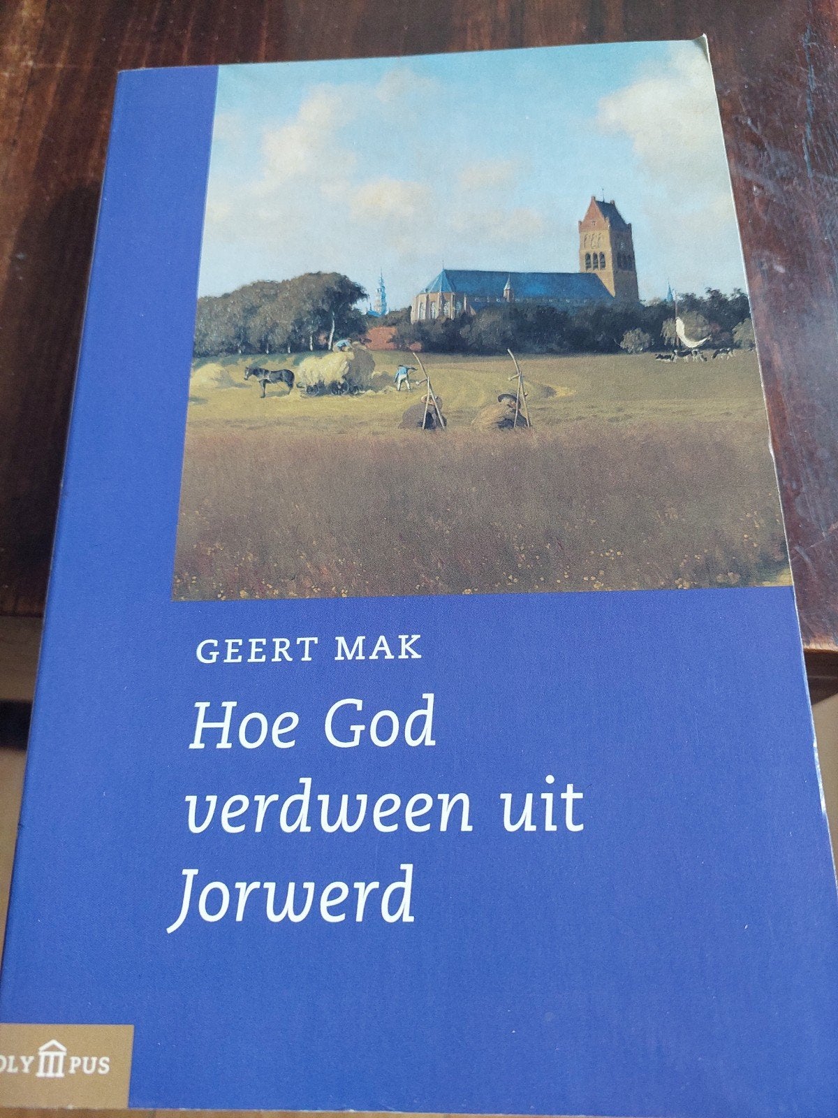 Hoe God verdween uit Jorwerd - Geert Mak, Gelezen, Christendom | Protestants, Geert Mak, Ophalen of Verzenden