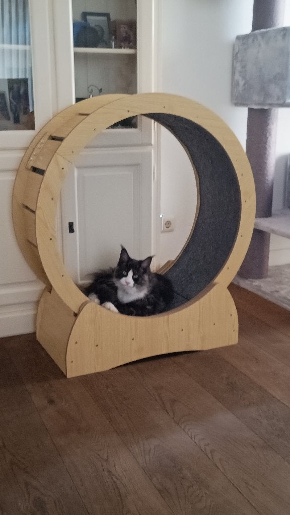 Katten loopwiel, Ophalen of Verzenden, Zo goed als nieuw