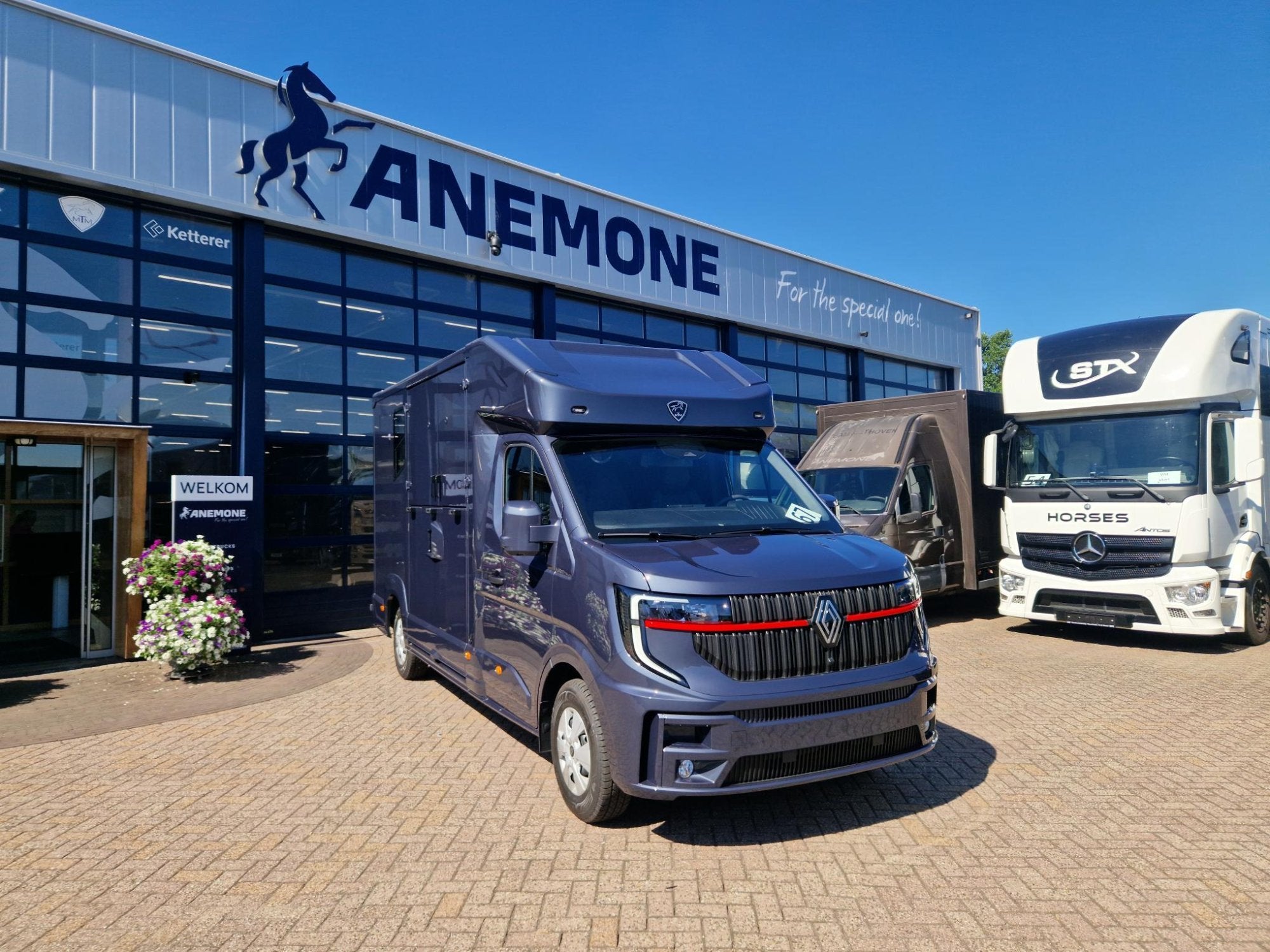 Renault Master MTM S3 EXCLUSIVE ! Nieuw model paardenwagen v, Nieuw, Overige typen