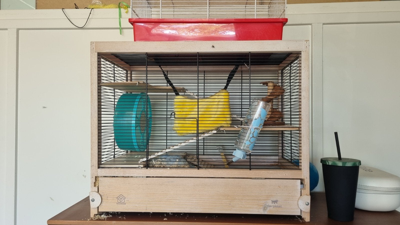 Hamsterkooi plus hamster plus accessoire, Dieren en Toebehoren, Knaagdieren, Januari, Vrouwelijk, Hamster