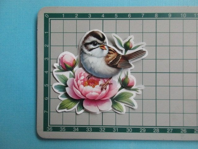y1070 Vogel, Verzenden, Nieuw, Natuur, Overige typen