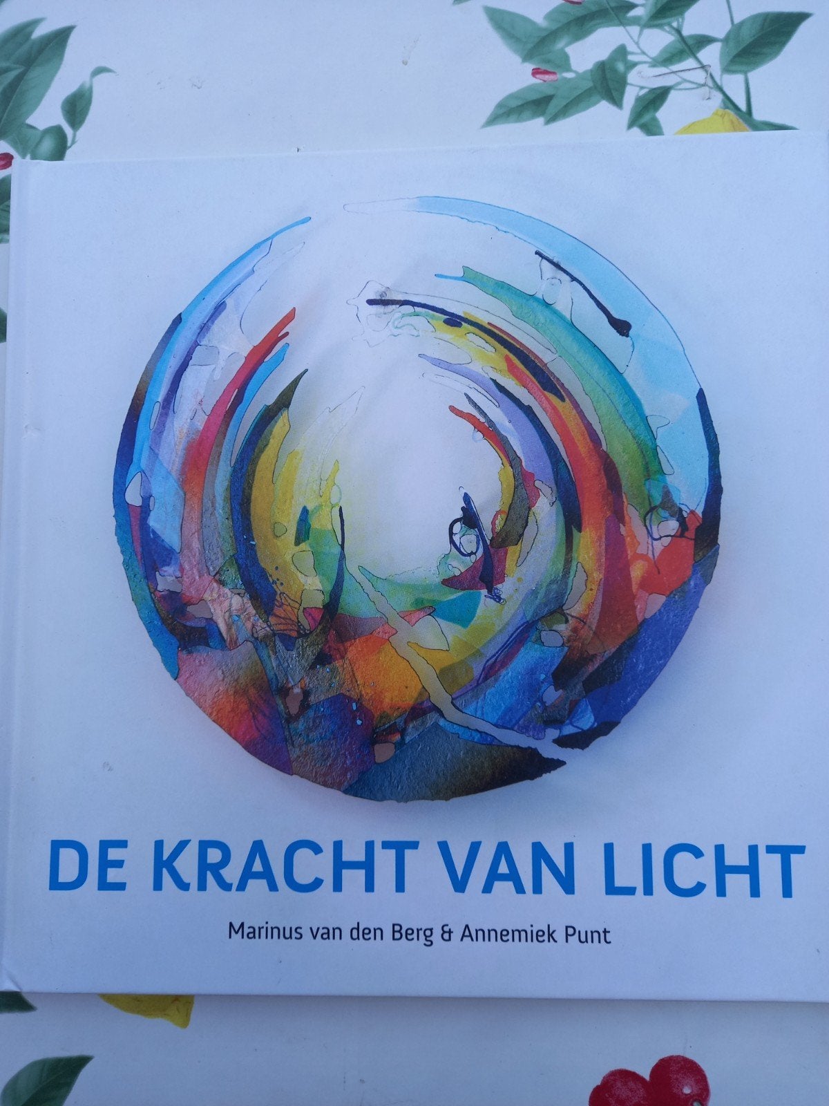 N Annemiek Punt - De kracht van licht, Achtergrond en Informatie, Annemiek Punt; Marinus van den Berg, Nieuw, Ophalen of Verzenden