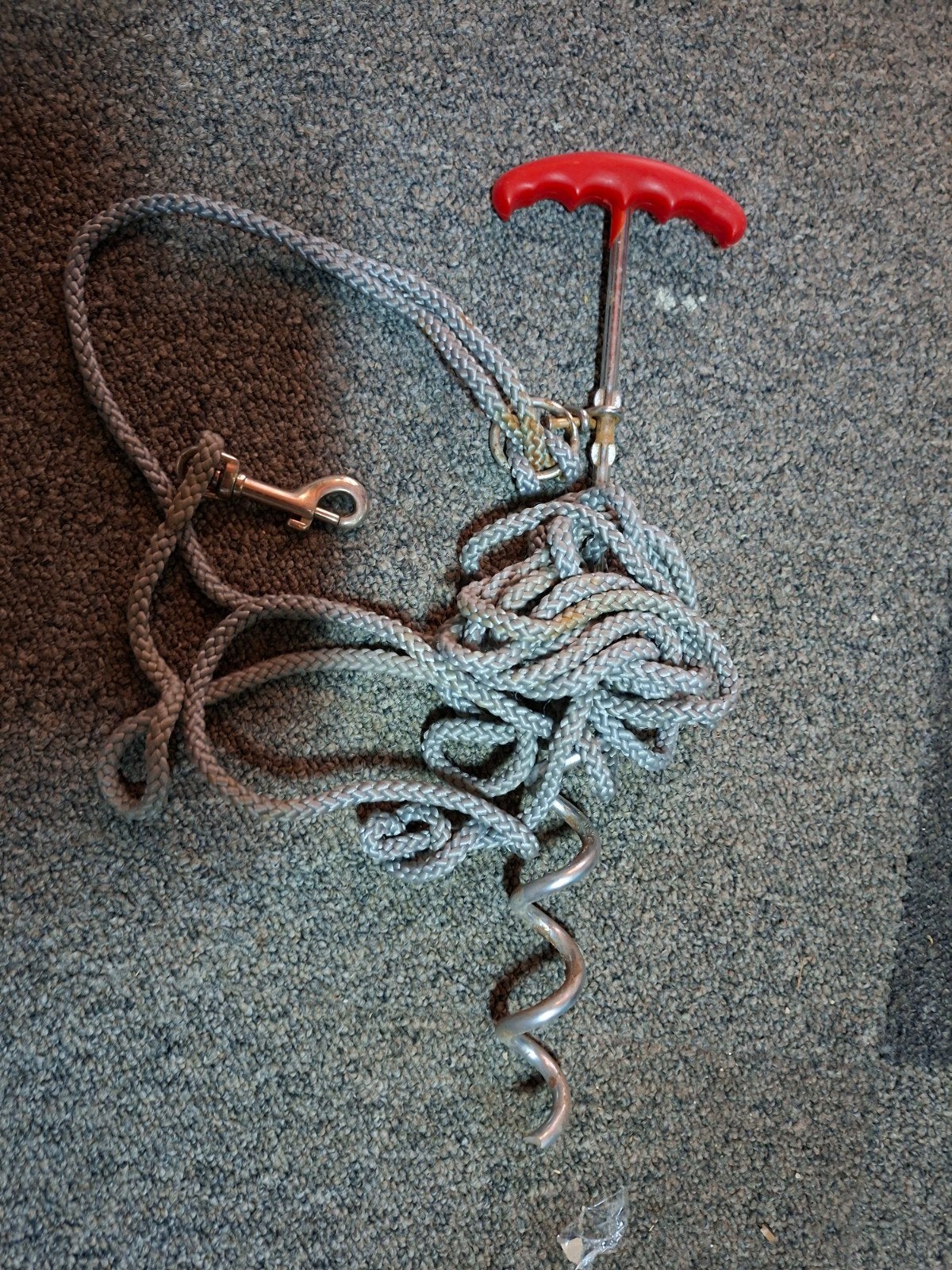 looplijn hond of kat, Ophalen of Verzenden, Gebruikt, Hondenriem
