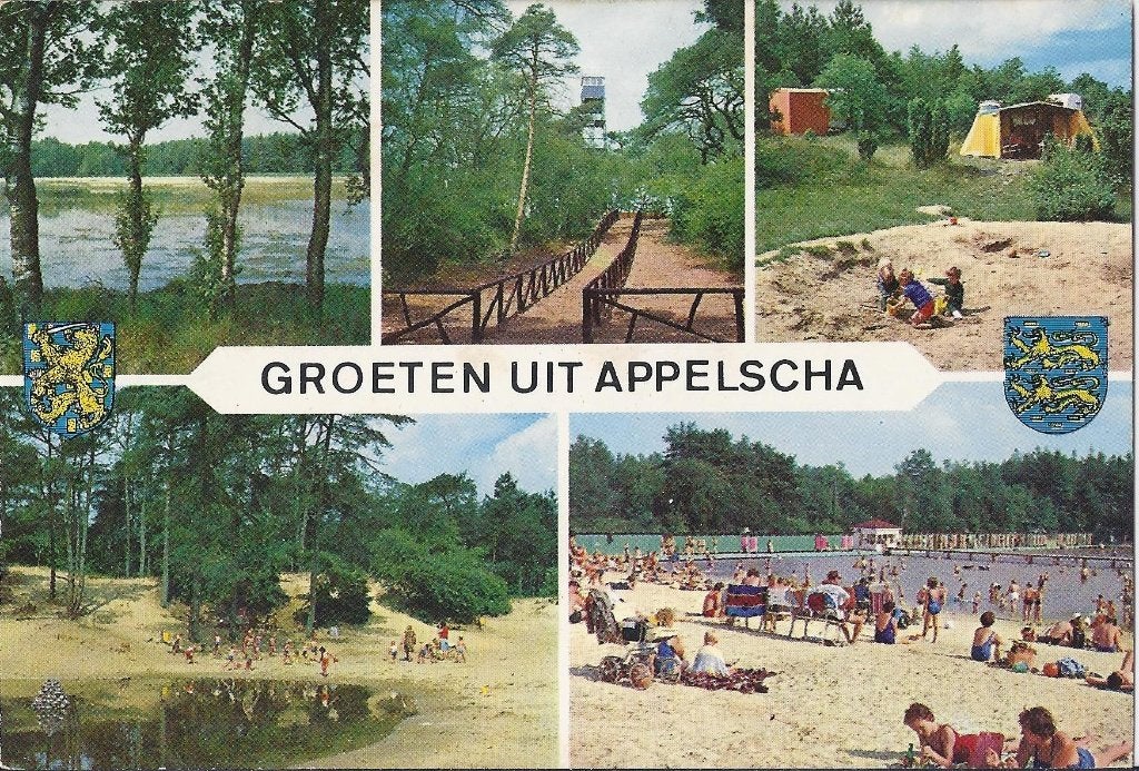 Kr328 Gelopen ansichtkaart Appelscha, Verzamelen, Ophalen of Verzenden, 1940 tot 1960, Gelopen