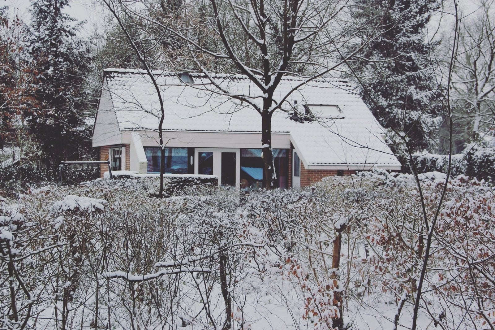 Vakantiehuis appelscha te huur vakantie, Ophalen of Verzenden