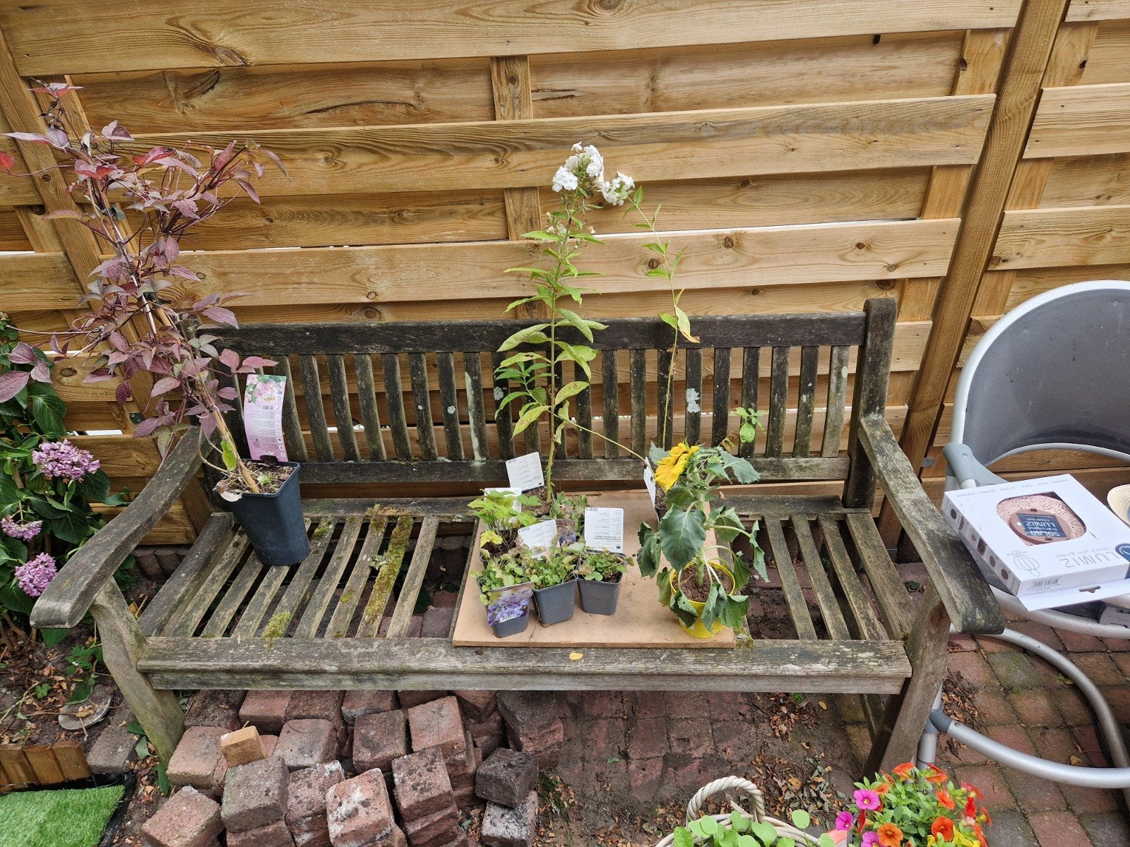 Gratis tuinbankje, Ophalen, Overige soorten, Volle zon