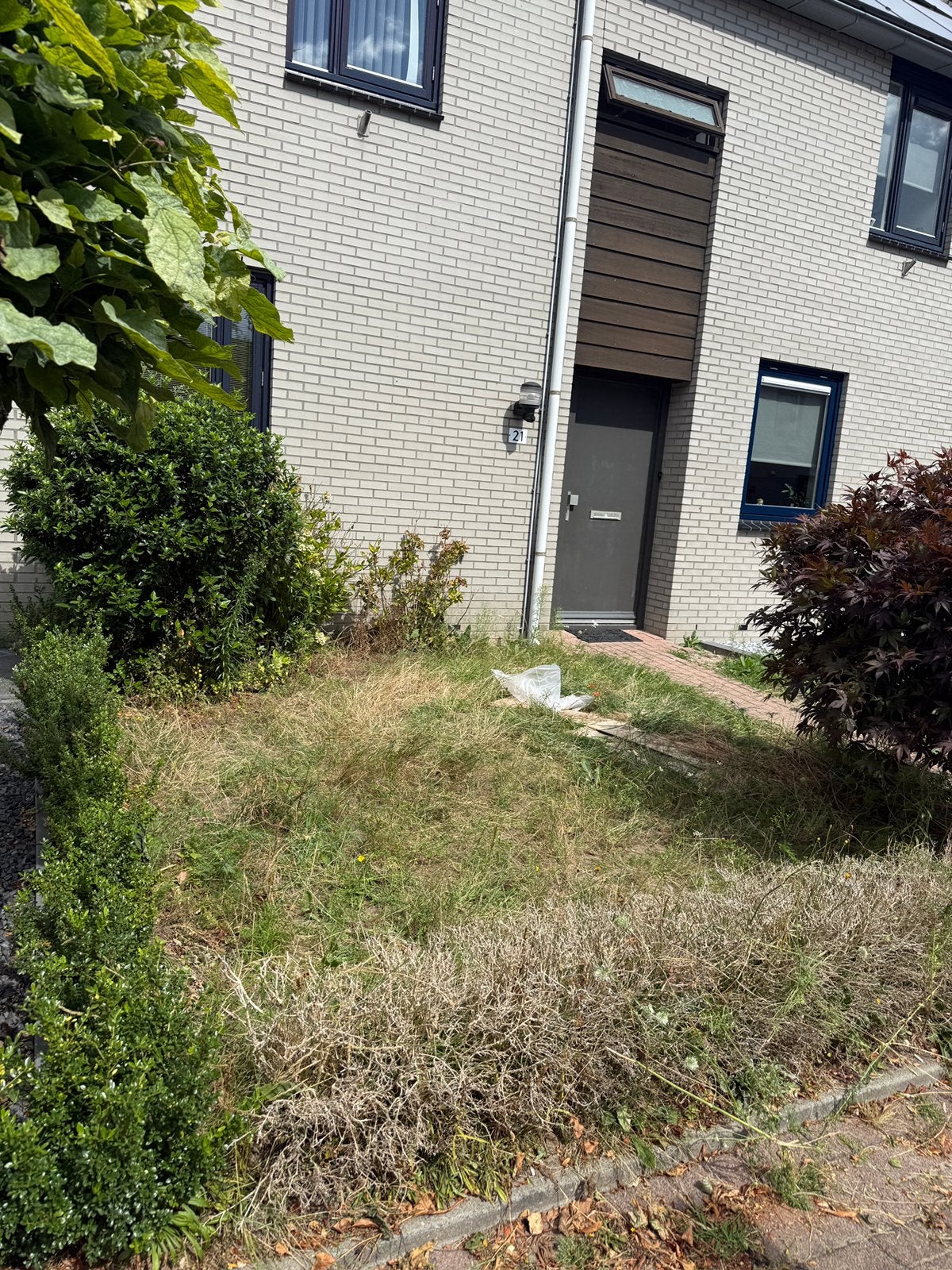 Gevraagd tuinman, Tuin en Terras, Planten | Bomen, Ophalen, Zomer, Volle zon, Overige soorten