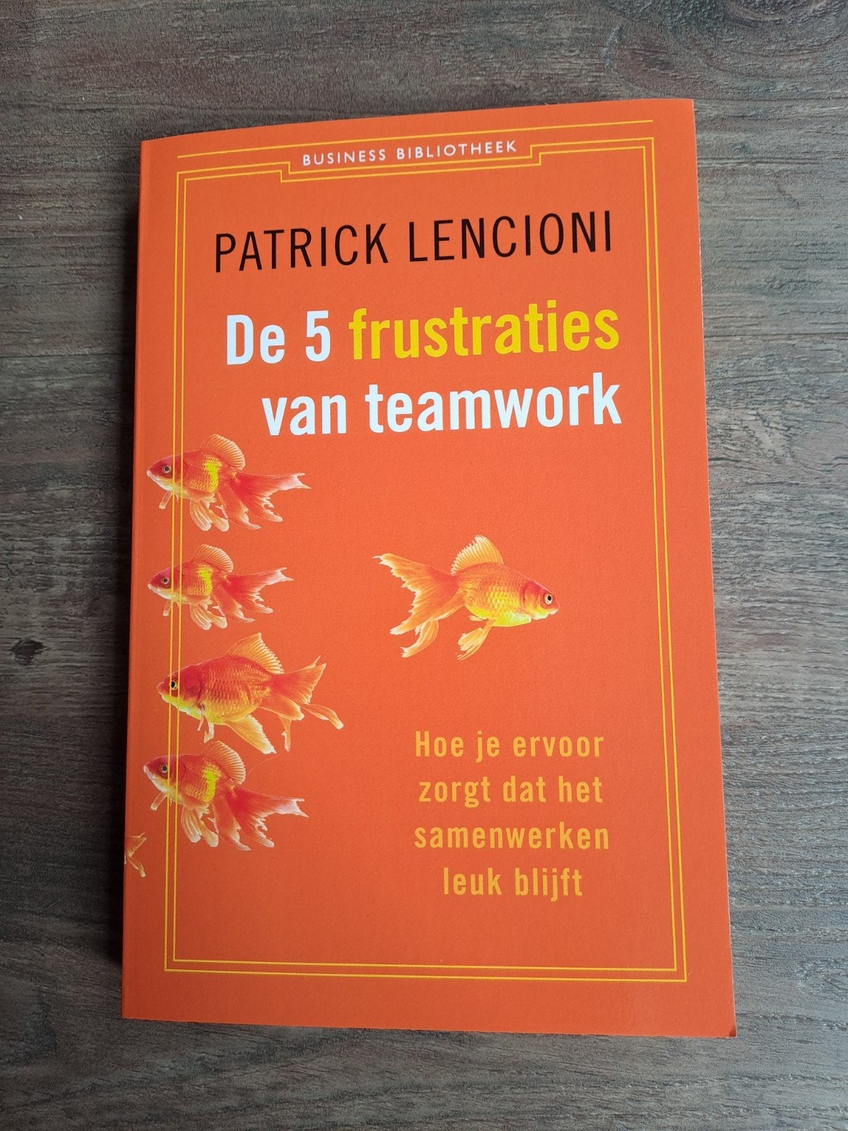 De 5 frustraties van teamwork - Patrick Lencioni, Ophalen of Verzenden, Zo goed als nieuw, Management, Patrick Lencioni