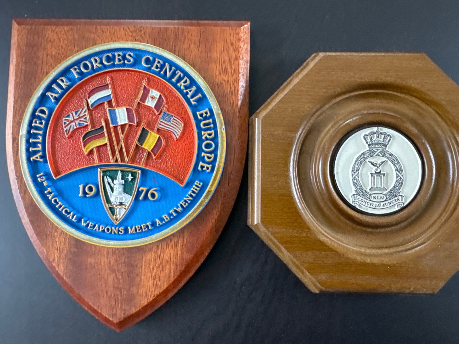 Militaire plaquettes: Allied Air Forces & Koninklijke Luchtm, Ophalen of Verzenden, Luchtmacht, Nederland, Overige typen