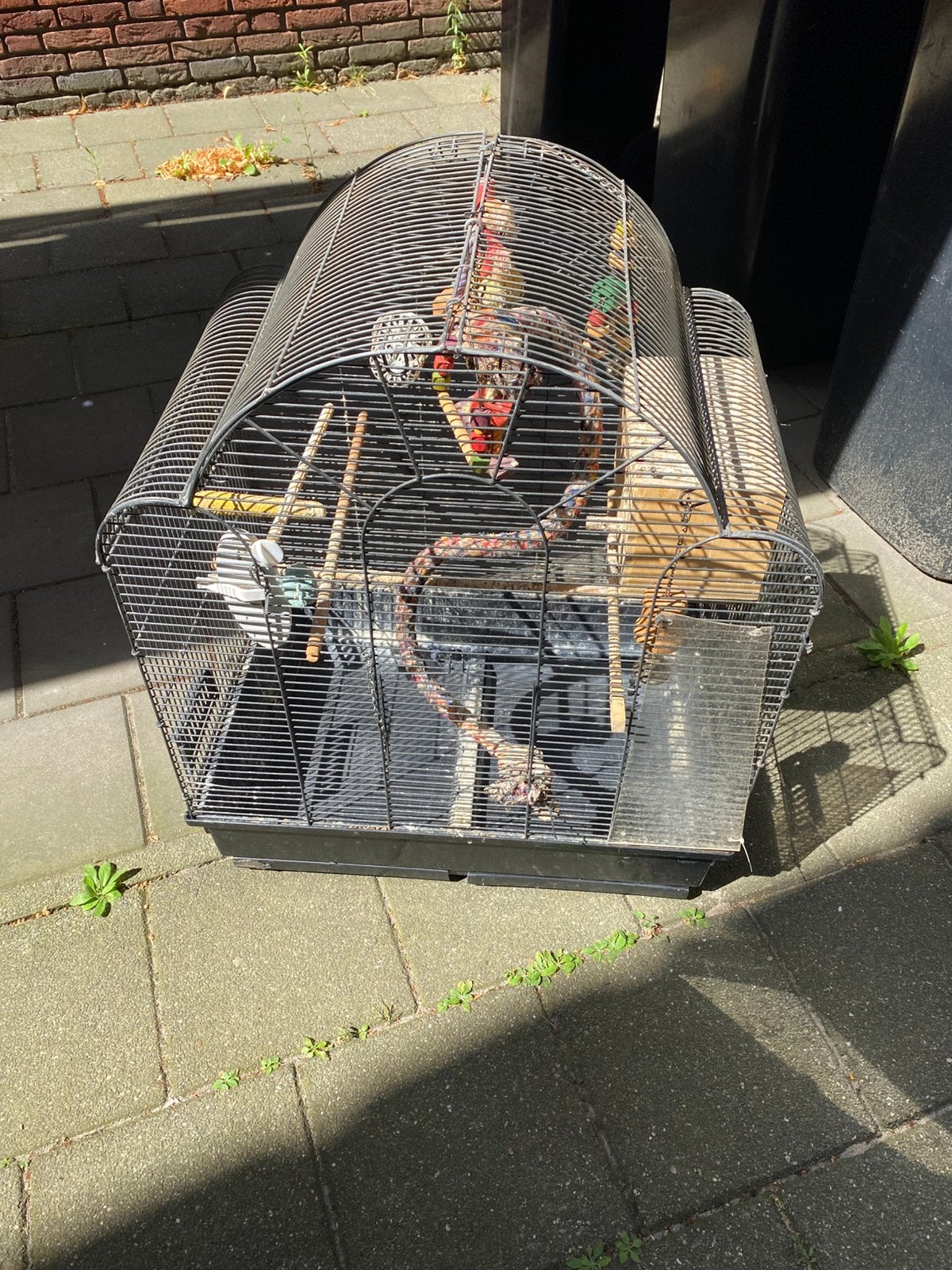 Grote vogelkooi, Ophalen, Zo goed als nieuw, Metaal, Vogelkooi