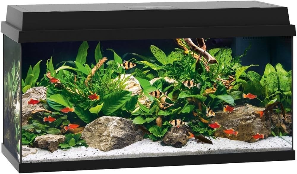 Juwel Primo 110 | 110L | 81 x 36 x 45CM Zwart, Ophalen, Leeg aquarium