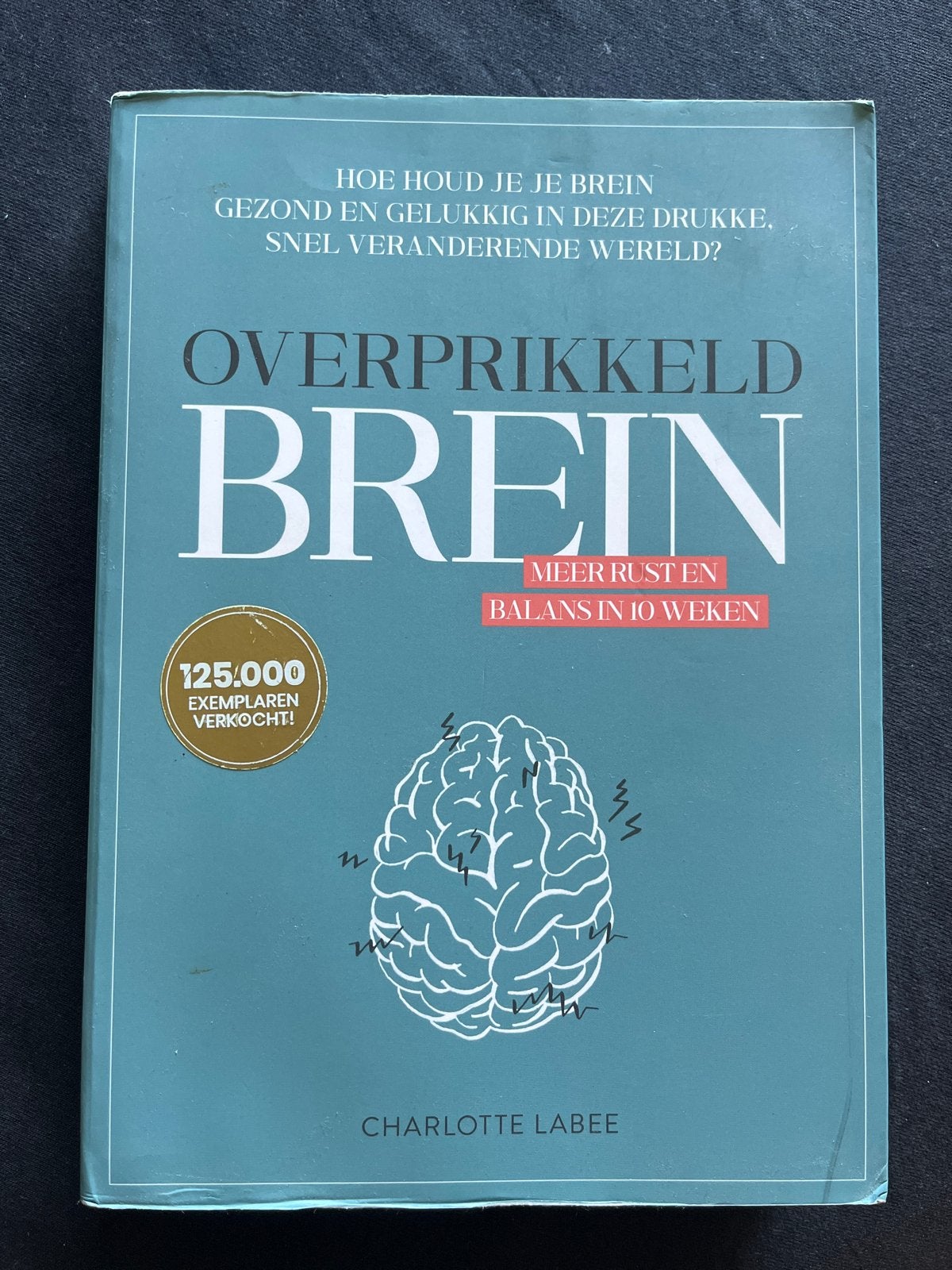 Overprikkeld Brein - Meer rust en balans in 10 weken, Ophalen of Verzenden, Zo goed als nieuw, Klinische psychologie