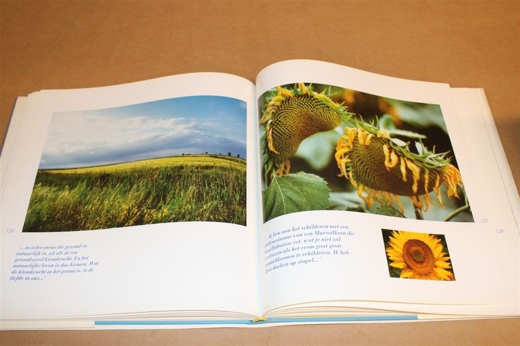 Vincent van Gogh — Eye to eye — Door fotograaf Paul Huf, Boeken, Ophalen of Verzenden, Gelezen