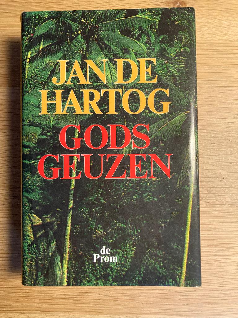 Jan de Hartog - Gods Geuzen, Ophalen of Verzenden, Gelezen